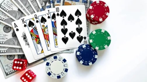 snakebet