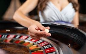 snakebet