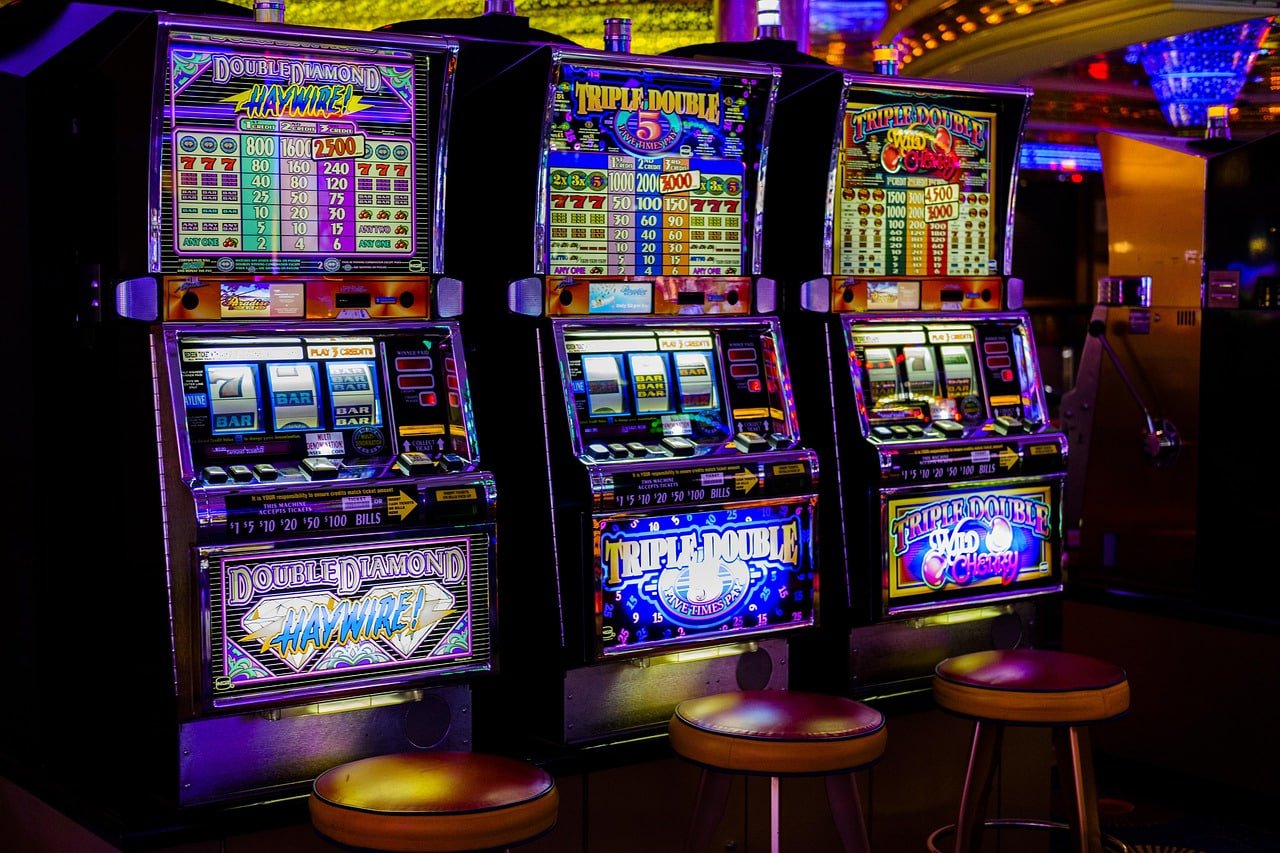 snakebet